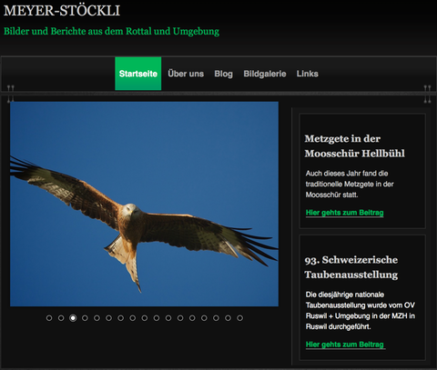 Bildschirmfoto 2015-01-02 um 10.31.15
