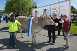 dasfest 27