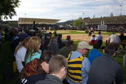 dasfest 8