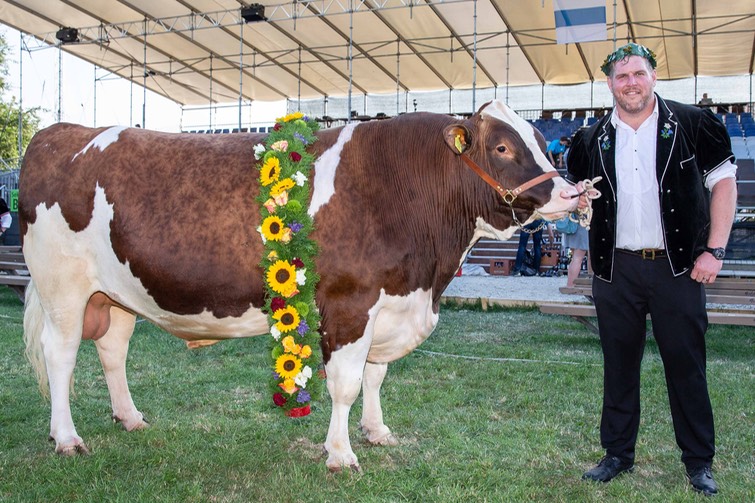 Festsieger