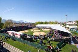 Arena