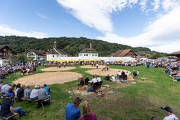 Arena