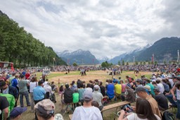 Arena