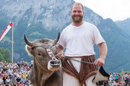 Festsieger