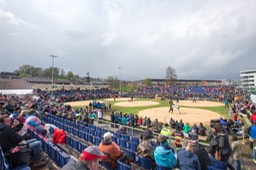 Arena