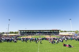 Arena