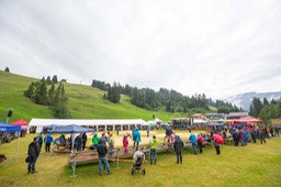 Arena