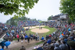Arena