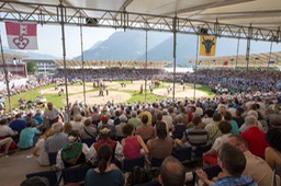 Arena