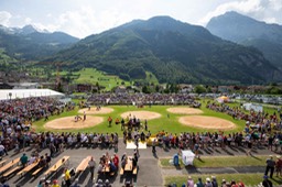 Arena