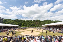 Arena