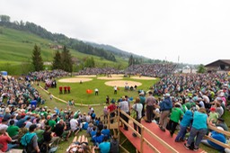 Arena
