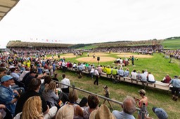 Arena