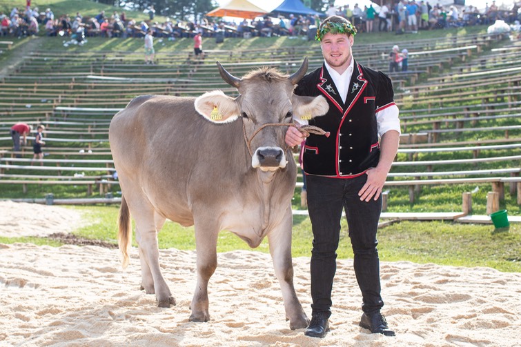 Festsieger