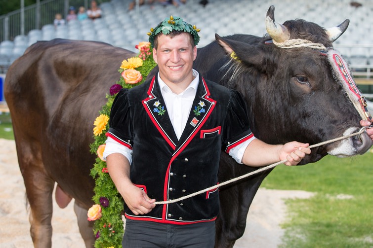 Festsieger