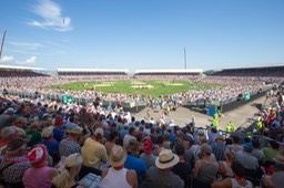 Arena