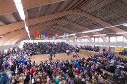 Arena