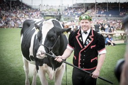 Festsieger