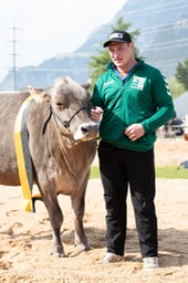Festsieger