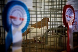 IMG_0366