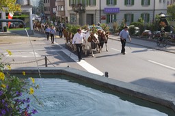 IMG_0507