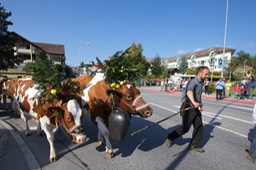 IMG_0552