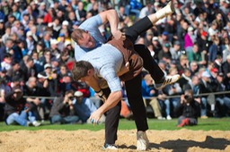 IMG_1093