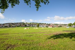 IMG_1225