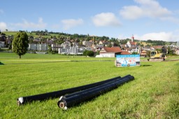 IMG_1230