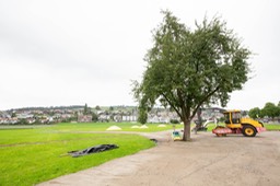 IMG_1247