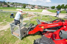 IMG_1290