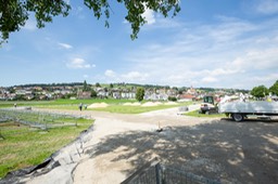 IMG_1355