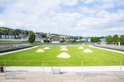 IMG_1475