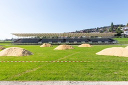 IMG_1687