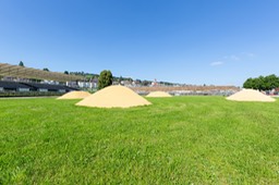 IMG_1710