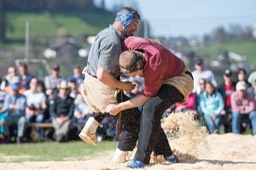 IMG_2135