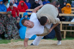 IMG 2536