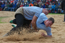 IMG_2955