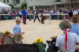 IMG_3290