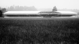 IMG_3622