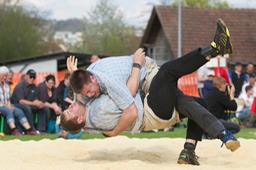 IMG_4258