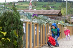 IMG_5324