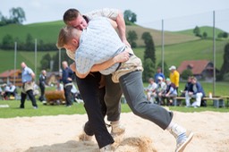 IMG_6250