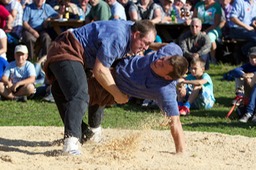 IMG_8241