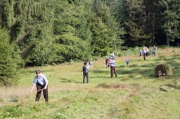 IMG_8947