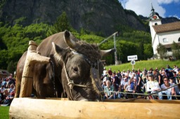 IMG_9911